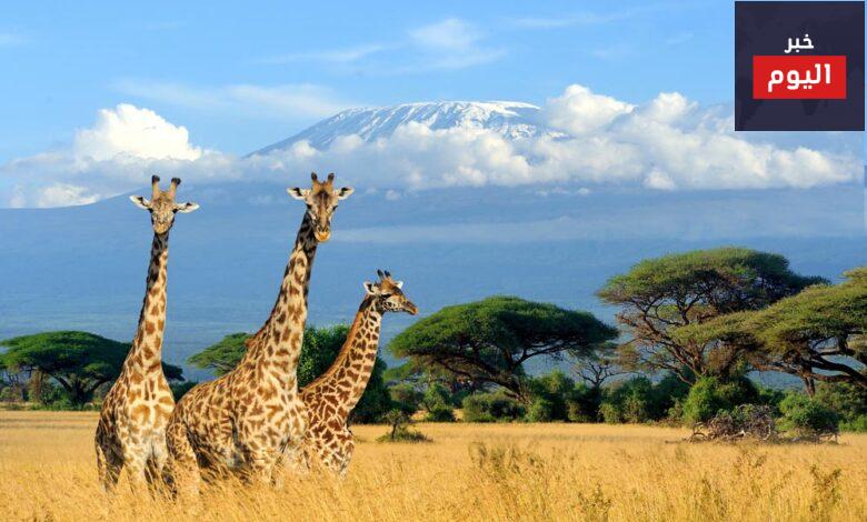 السياحة في كينيا