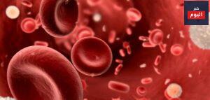 أهمية الدم للجسم