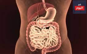 التهاب المعدة والأمعاء - Gastroenteritis