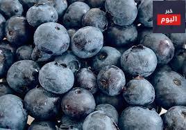 العنب البري: هل هو قوة مضادة للأكسدة؟ - Blueberries: antioxidant powerhouse?