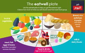 الغذاء الصحي المتوازن - The Eat-Well plate