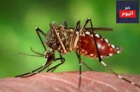 فيروس زيكا - Zika virus