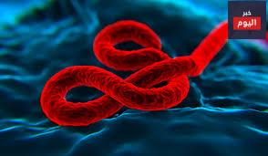 مرض فيروس إيبولا - Ebola virus disease