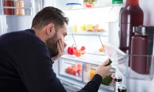 هكذا يمكنك التخلص من رائحة الطعام بالثلاجة