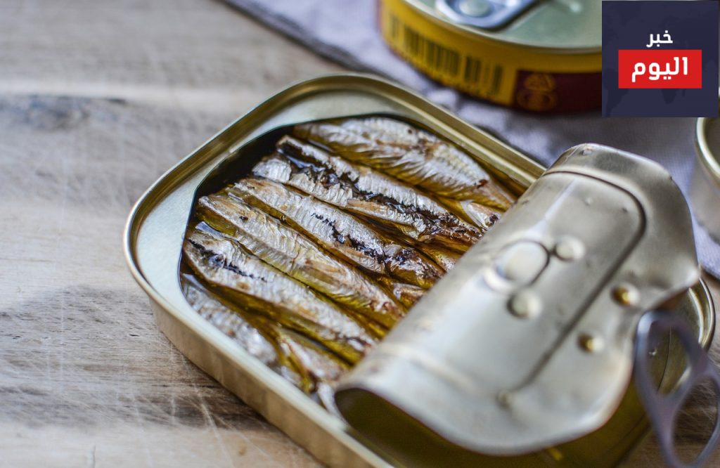 fish-can-metallic-3287443-1024x666.jpg