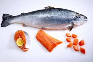 معلومات عن سمك سلمون افضل انواع الاسماك