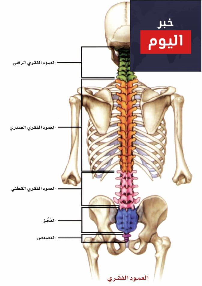 الأسباب المؤدية لحدوث آلام الظهر: وطرق التشخيص والعلاج