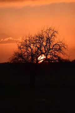 شعر عراقي حزين