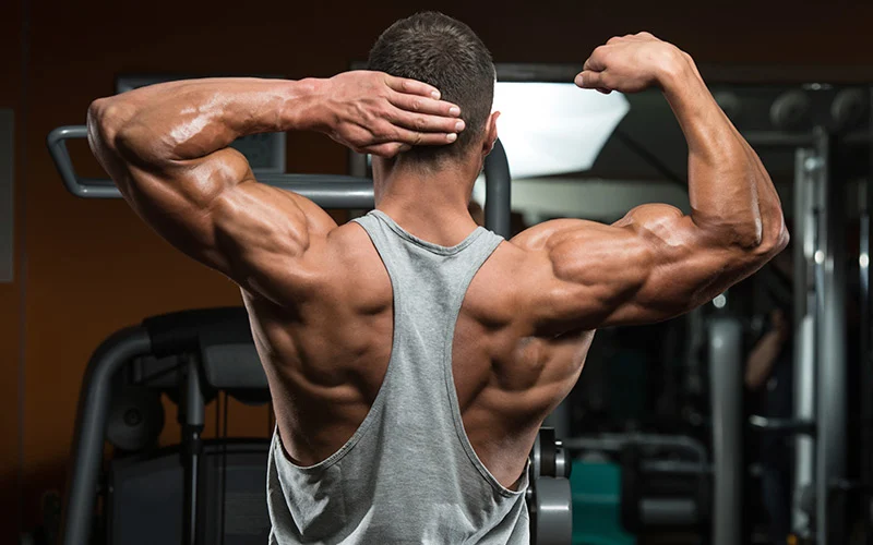 طريقة بناء عضلات الجسم