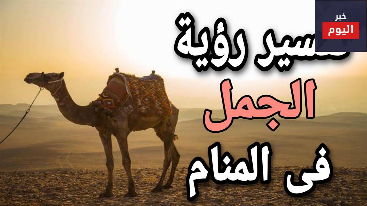 تفسير حلم رؤيا الجمل