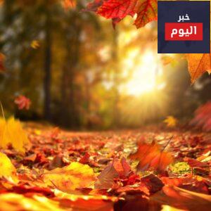 أقوال عن عزة النفس